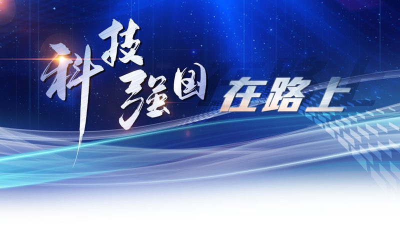 企业SaaS平台数据防泄漏：揭秘关键措施与实施要点